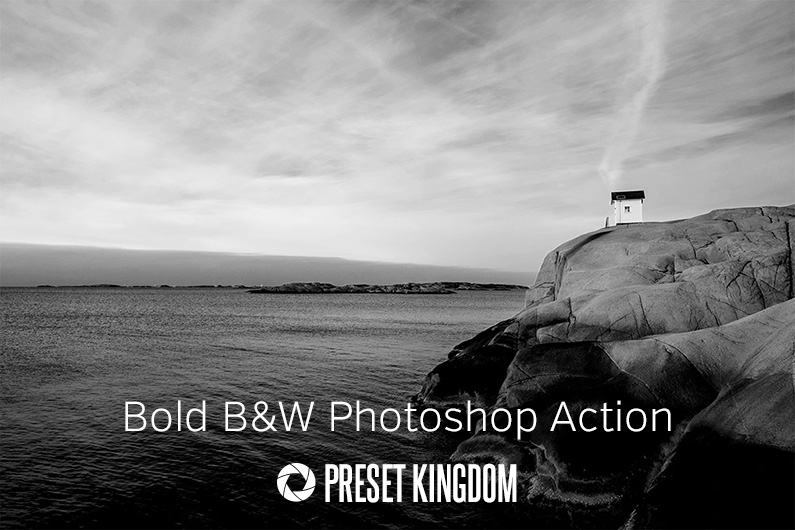 Free Bold Black and White Photoshop Action