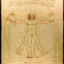 Da Vinci Vitruve