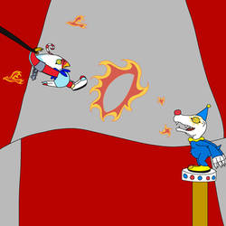 CircusBiyomon and Circus Agumon performance
