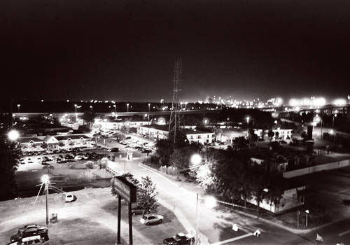 Savvytown At Night