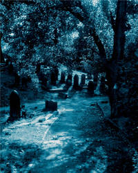 Cemetery Pic 1