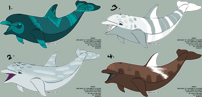 Dolphin Adoptables 1