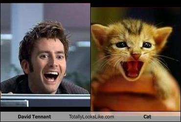 David Tennant = Cat