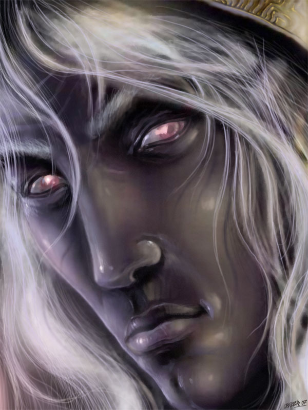 Drizzt no2