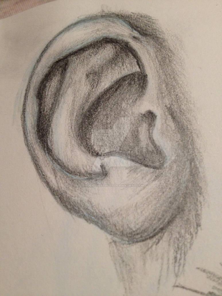 Ear Study 1 by struckthestreet on DeviantArt