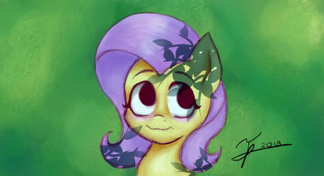 Fluttershy