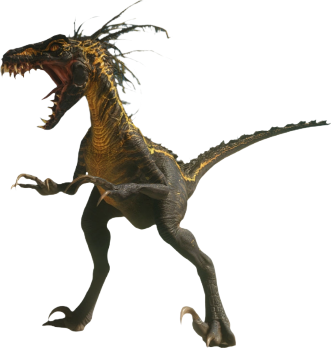 Raptor (Utahraptor) by Nicolespeaks2 on DeviantArt