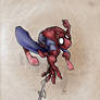 Spidey NEW ....