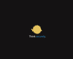 Think securely