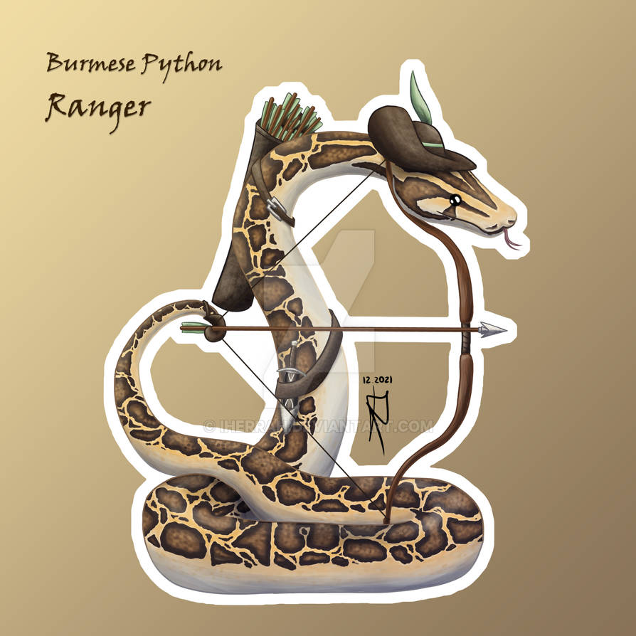 Burmese Python Rash Guard Burmese Python - Ranger by Iherrah on DeviantArt