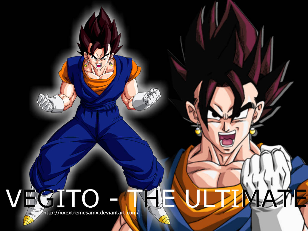 Vegito Base Form Wallpaper By XxExtremeSamX On DeviantArt vegito-base-form-wallpaper-by-xxextremesamx-on-deviantart