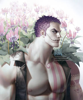 Spring Katakuri.