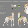 Pavo - Home Character Design Entry 2