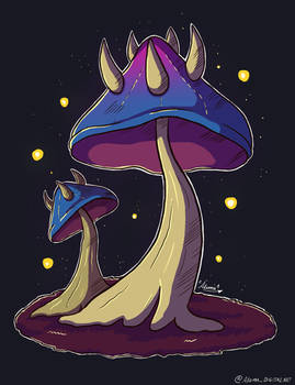 Night mushroom