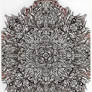 carre souple