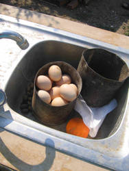 There are eggs in the sink.