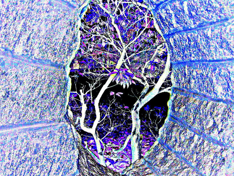 Inverted Garden thru window by amberwayne52 on DeviantArt