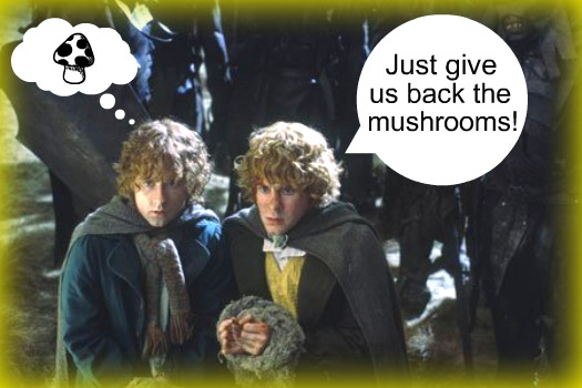 MUSHROOMS