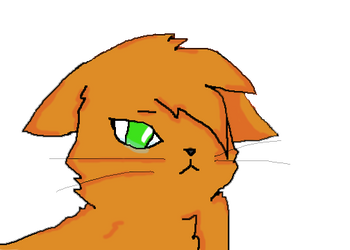 I wanted you to understand, Ashfur