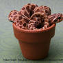 Zot in a Pot