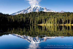 Rainier Reflection