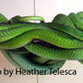 East African Green Mambas