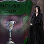 Severus Snape And The Time Slytherin Won The House