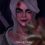 Ciri The Witcher