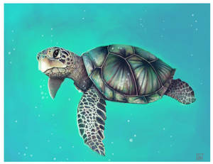 Seagreen Seaturtle