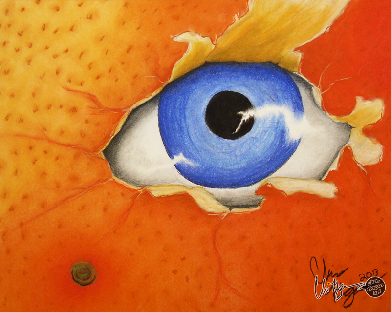 Eye Appeeling 2013