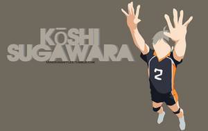 Koshi Sugawara - Haikyuu