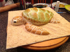 Sea Turtle Cake