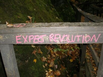 Expect Revolution!