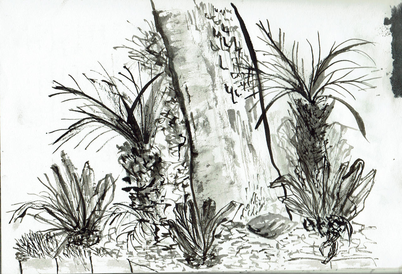 Ink Plants by naiveplant on DeviantArt