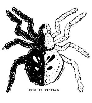 Inktober and Drawlloween #30: SPIDER