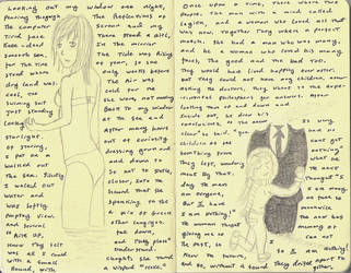 Notebook pages 13-14