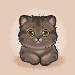 Septembers' cat