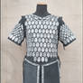 Thorin scale armour
