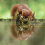 Mirror, Mirror...