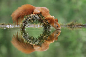 Symmetry