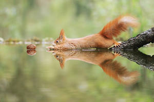 Just.. a litte.. bit.. closer by JulianRad Just.. a litte.. bit.. closer by JulianRad
