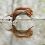 Walking Over Water