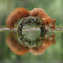 Symmetry