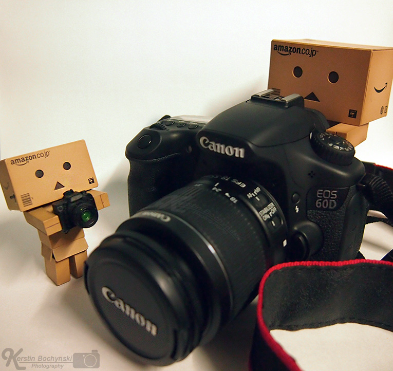 Danbo Photograph