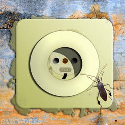 Beetle on a plug