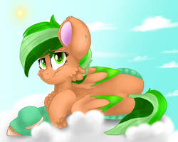 Emerald in socks
