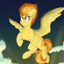 Spitfire Sunset
