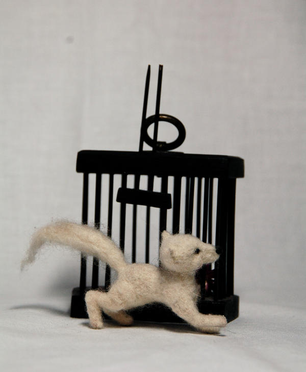 white fox left his cage pic 1