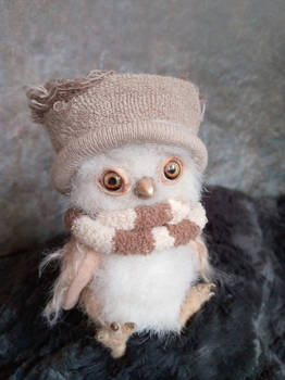 Sonya Little Owl
