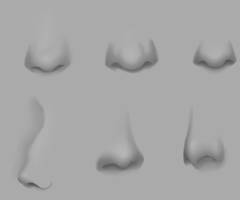 Noses | 010619